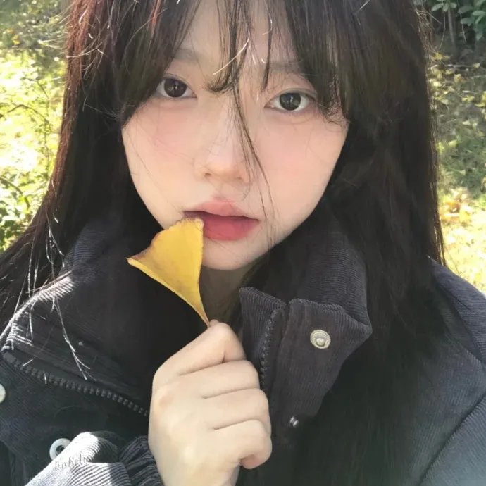 夏至廊桥